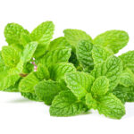 Linea viso riossigenante pelli asfittiche al fango e menta