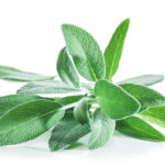 Linea piedi ammorbidente rinfrescante