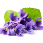 Linea mani vellutante protettiva