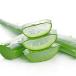 Linea viso antietà pelli senescenti