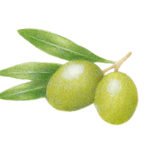 Crema viso antietà all’olio d’oliva e acido ialuronico 50 ml € 22,00